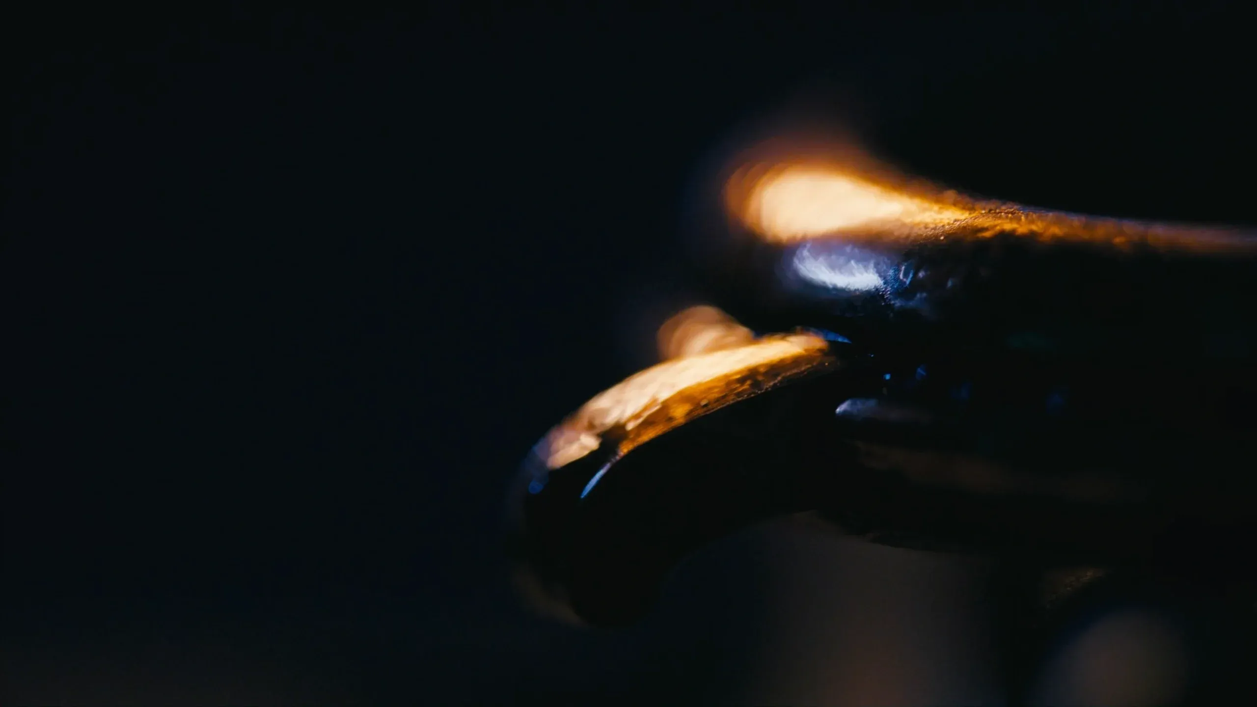 Craftsmanship in action  Daniel Roth