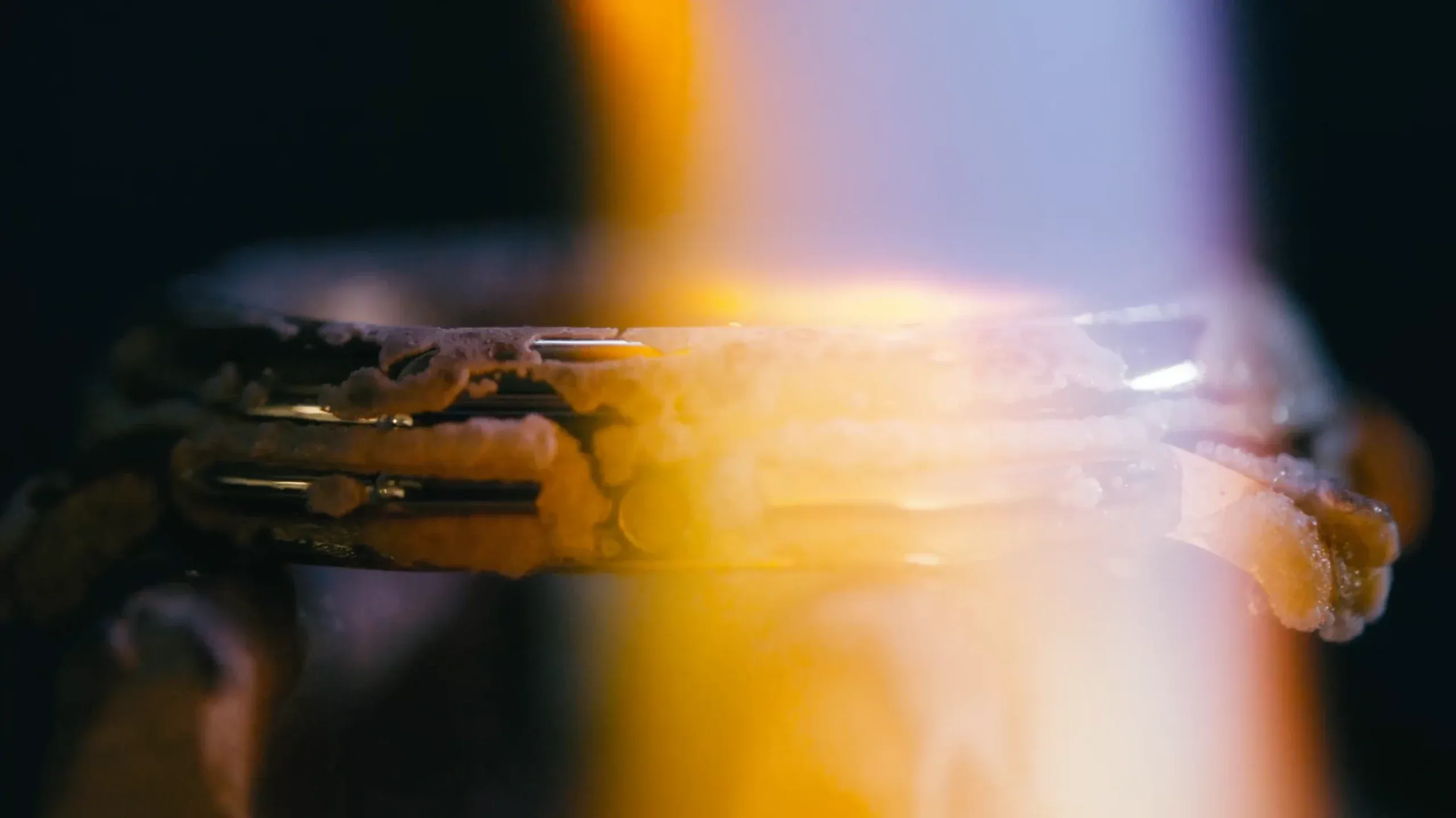 Craftsmanship in action  Daniel Roth