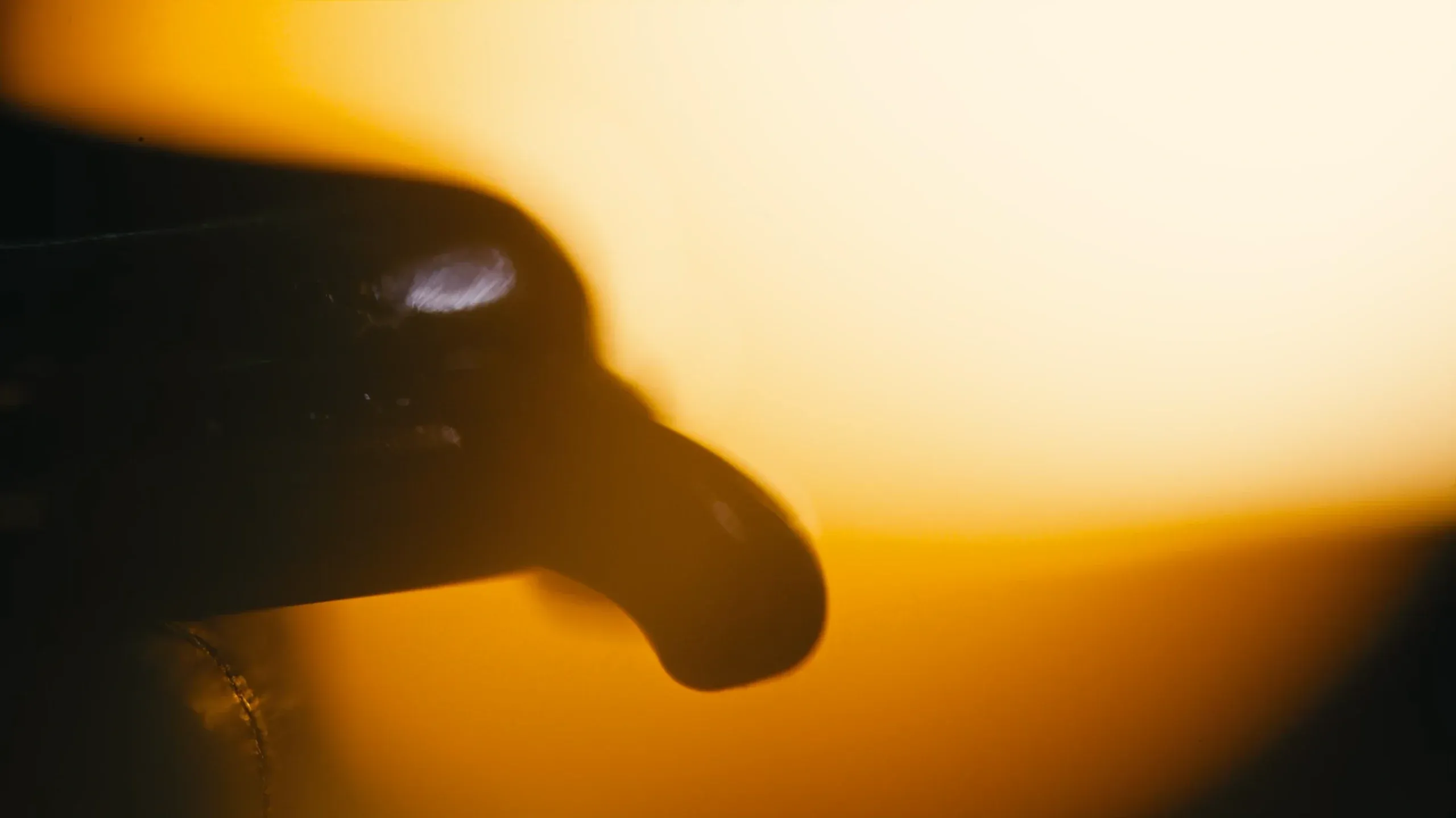 Craftsmanship in action  Daniel Roth