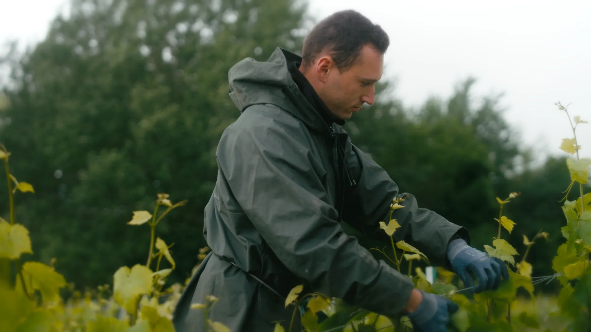 Episode 1: The Encounter   Lallier