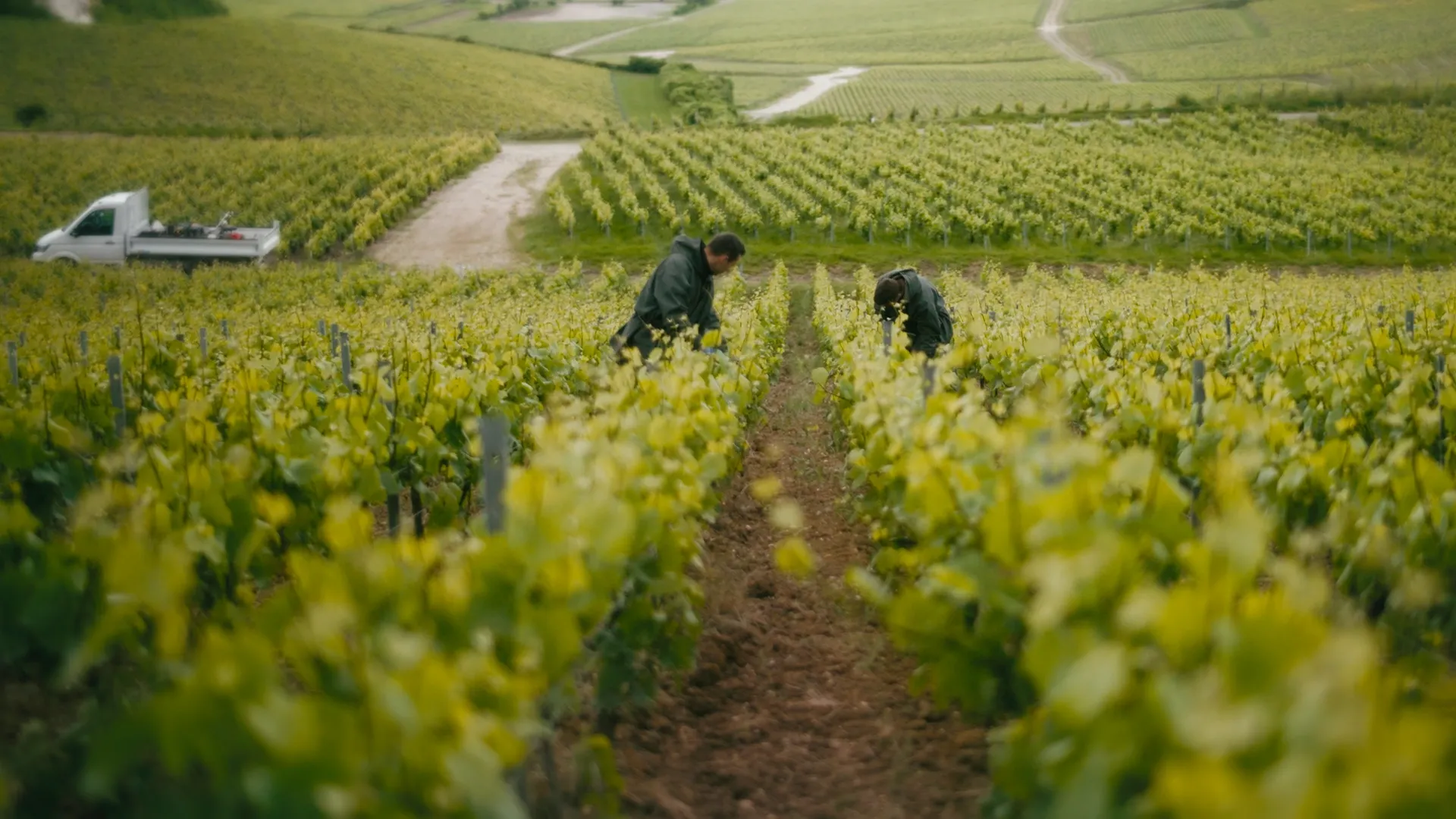 Episode 1: The Encounter   Lallier