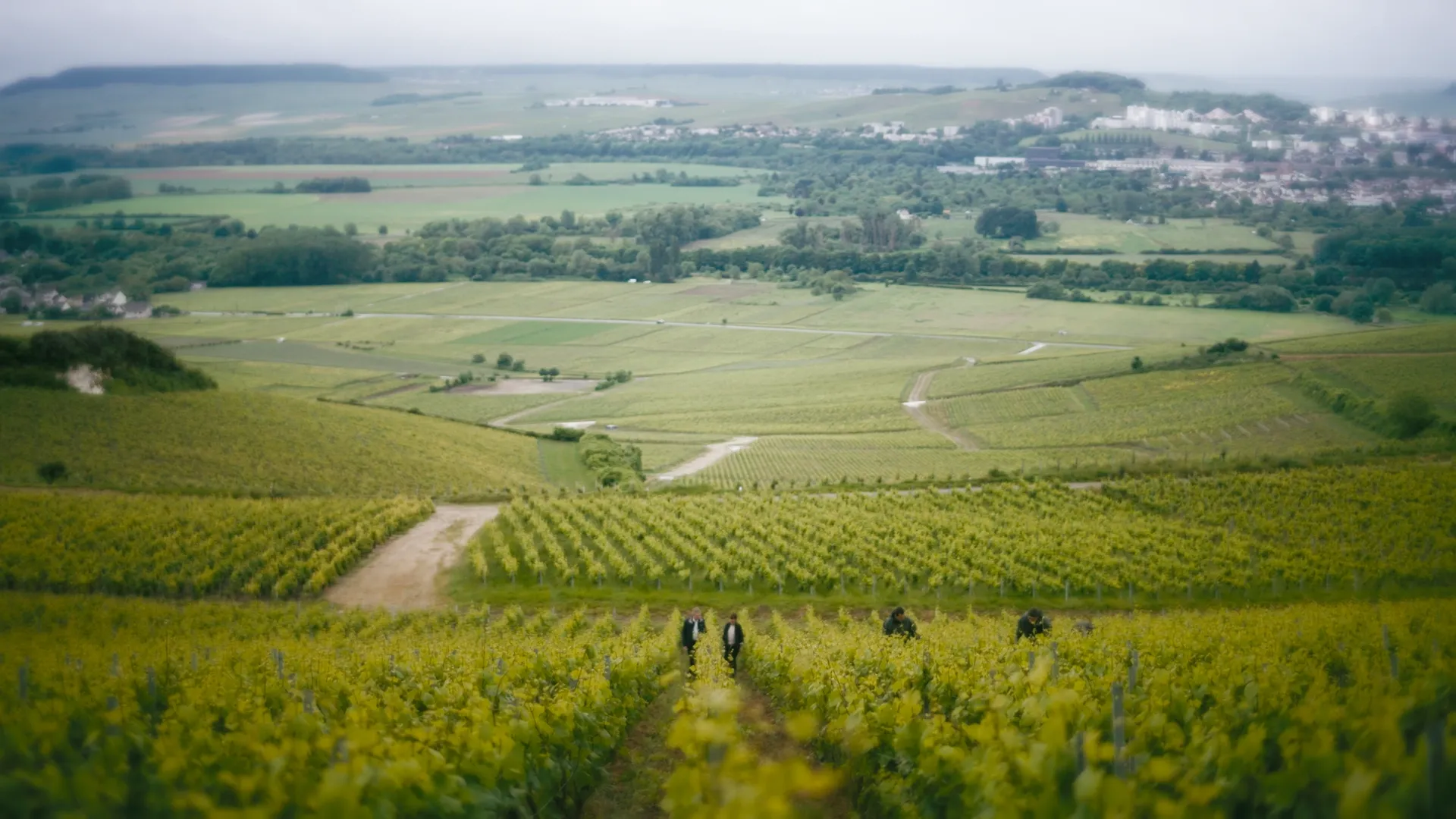 Episode 1: The Encounter   Lallier