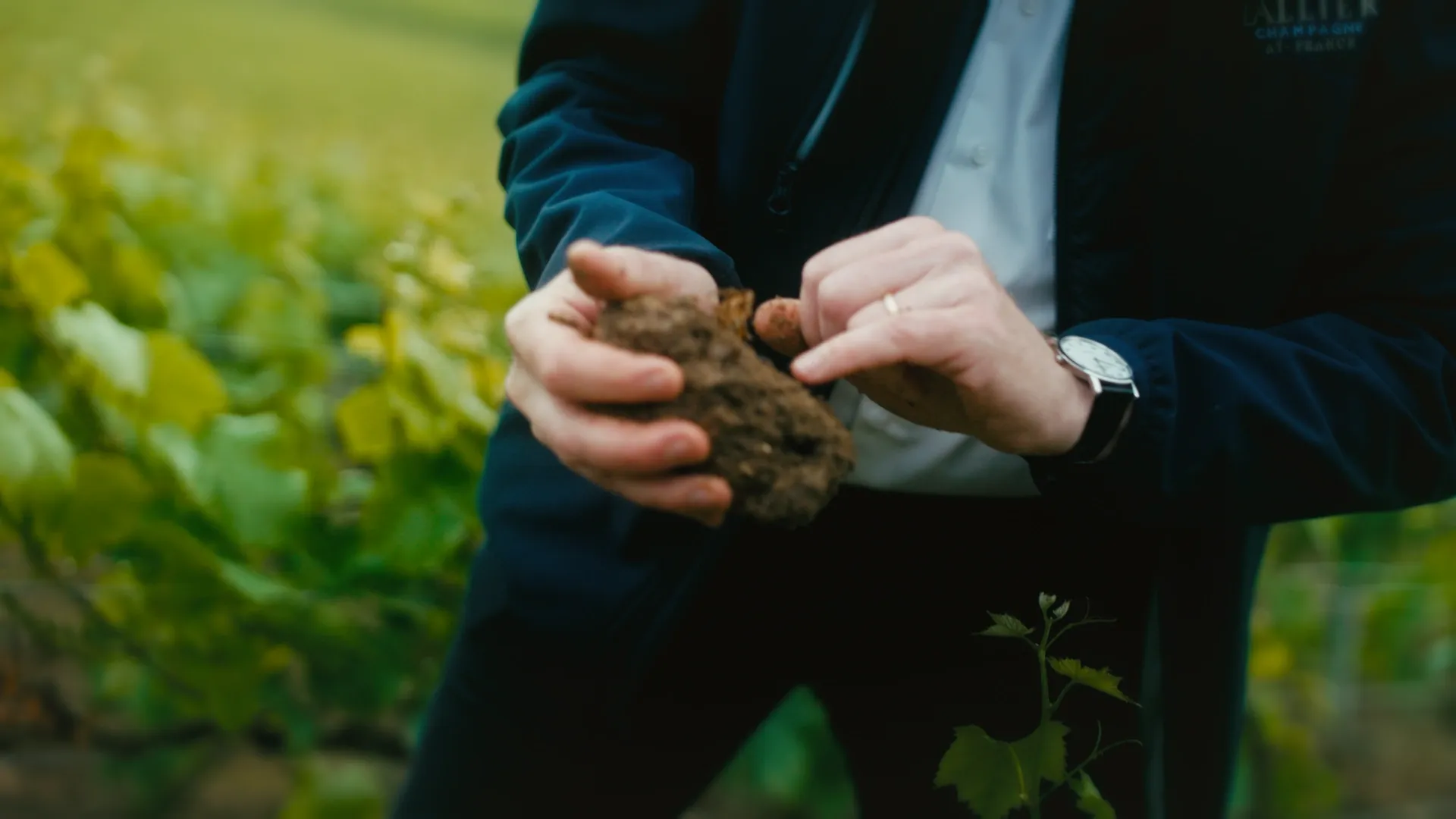 Episode 1: The Encounter   Lallier