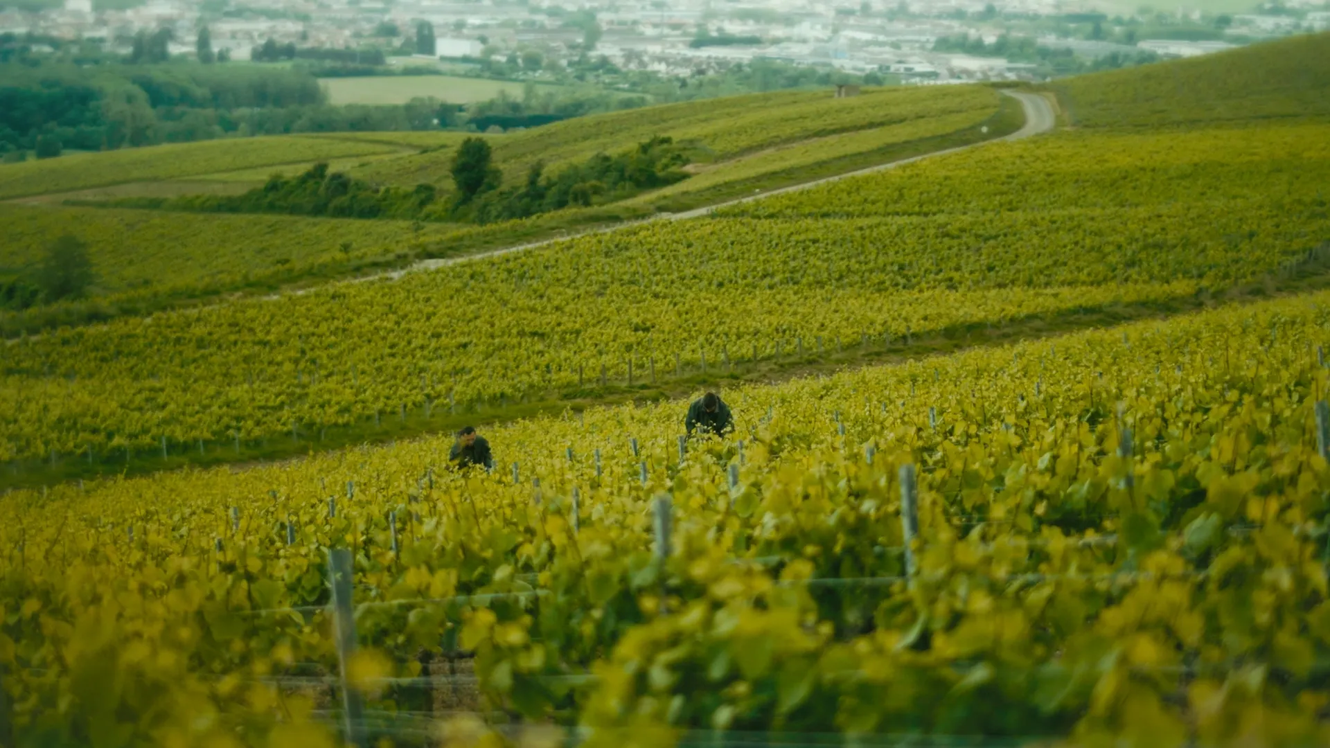 Episode 1: The Encounter   Lallier