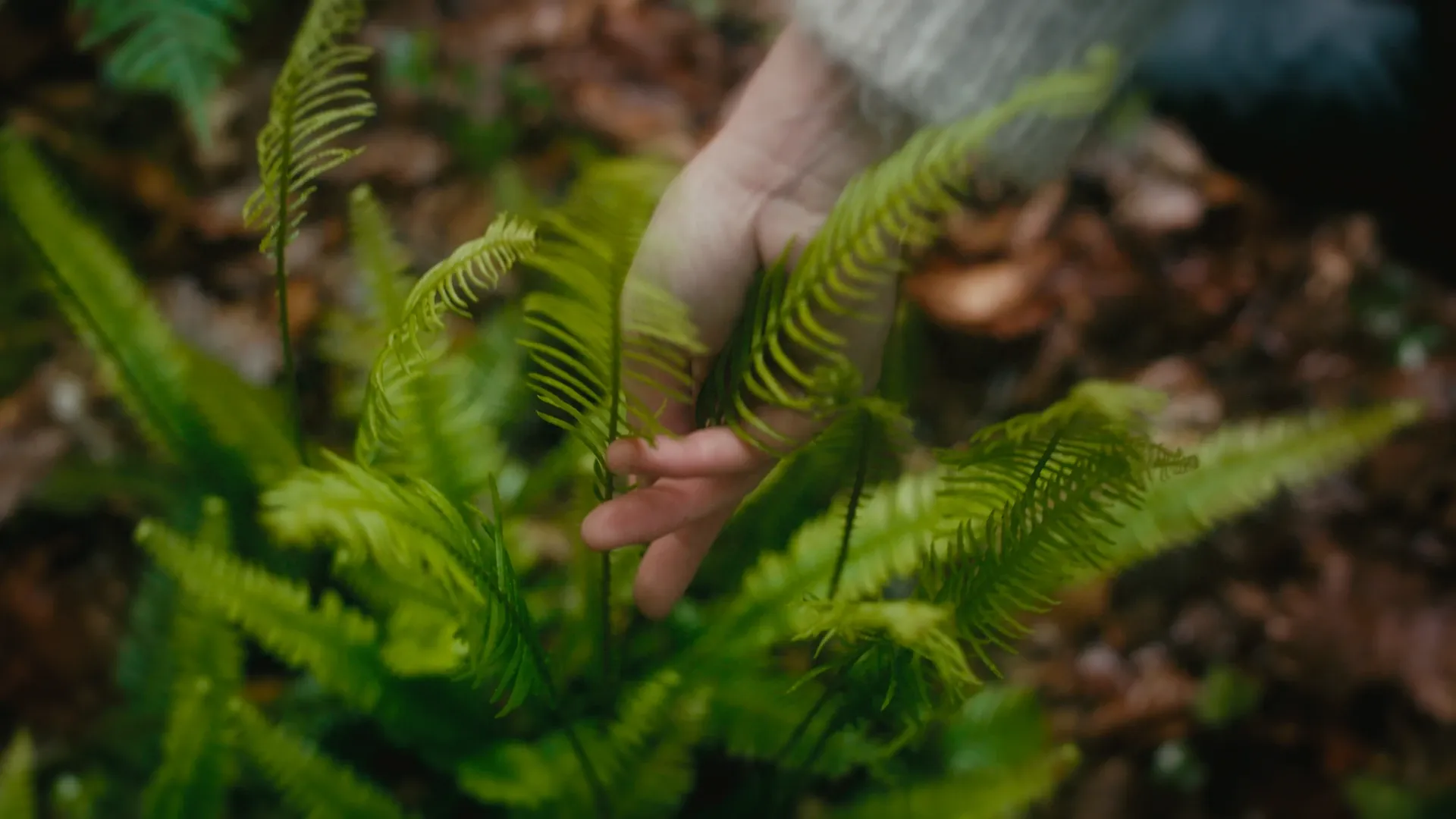 Episode 2 : The Creation   Lallier