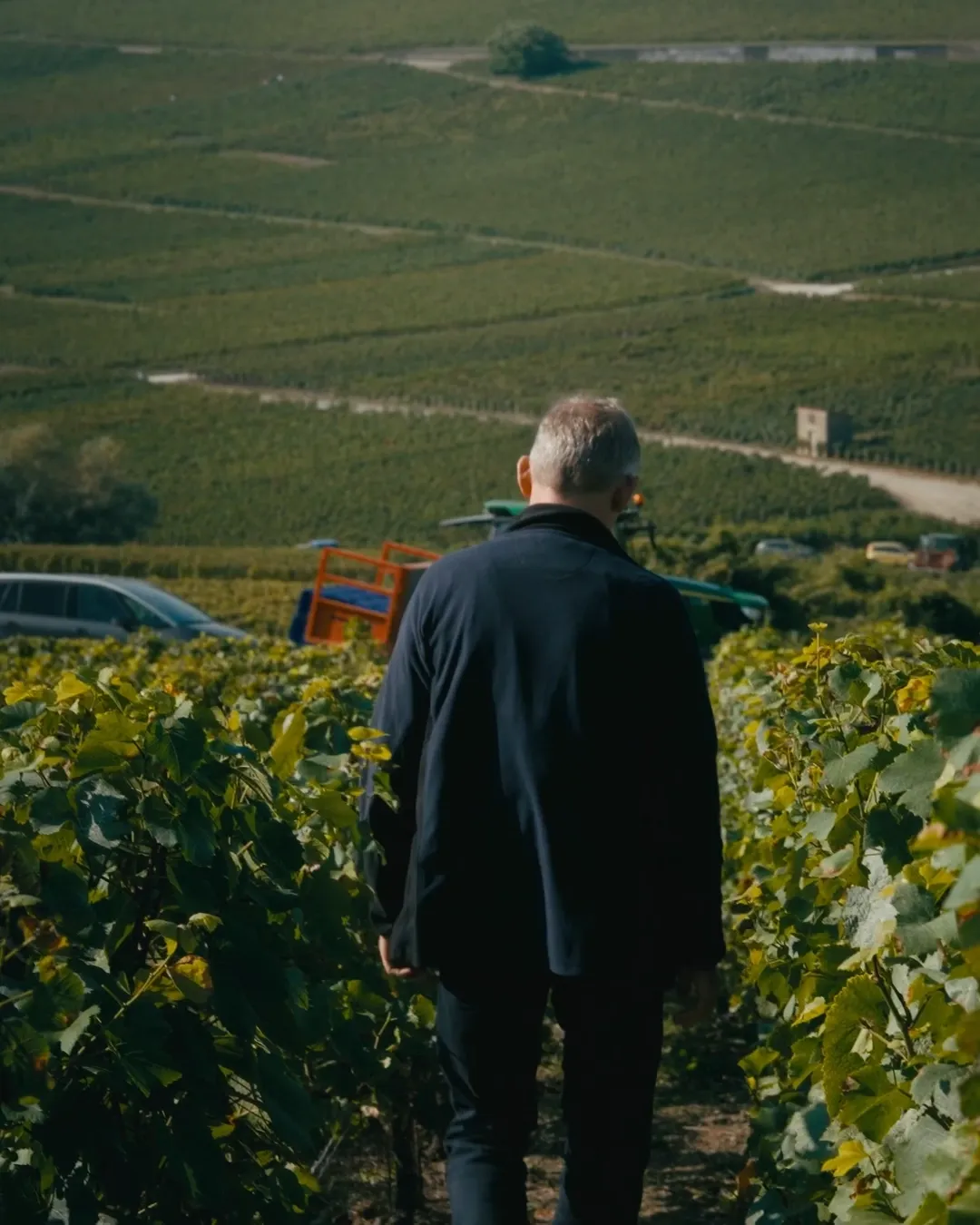 Behind The Wind With Dominique Demarville